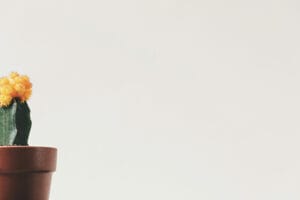 עיצוב פנים, עיצוב מינימליסטי, מעצבת פנים